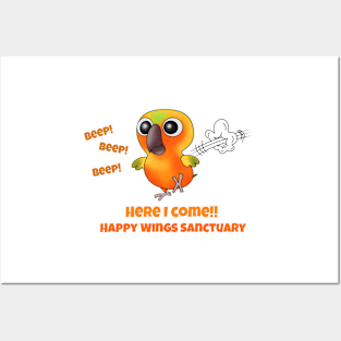 HWS Nerdy Birdy ~ Sun Conure Posters and Art